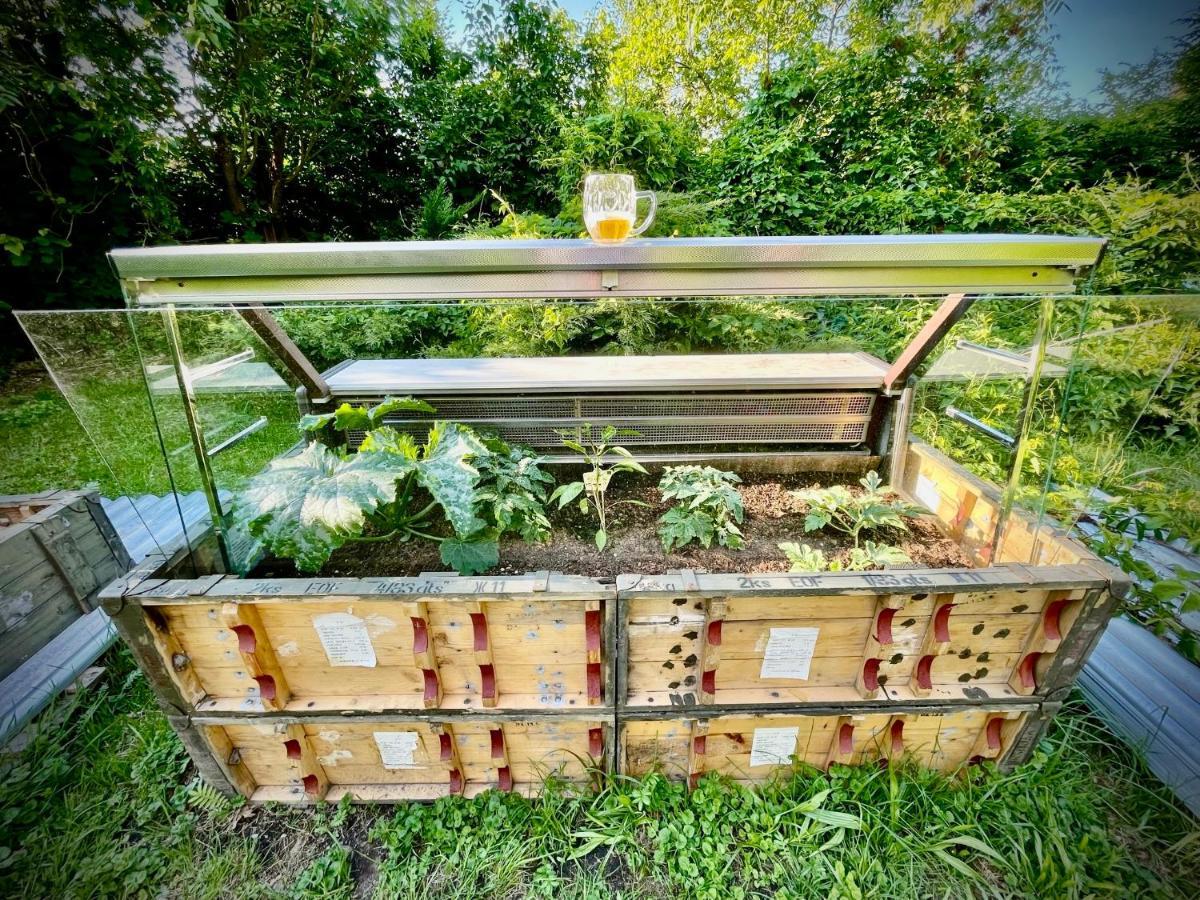 Haraburdi Recyclart Hotel Kostelec nad Orlici Bagian luar foto